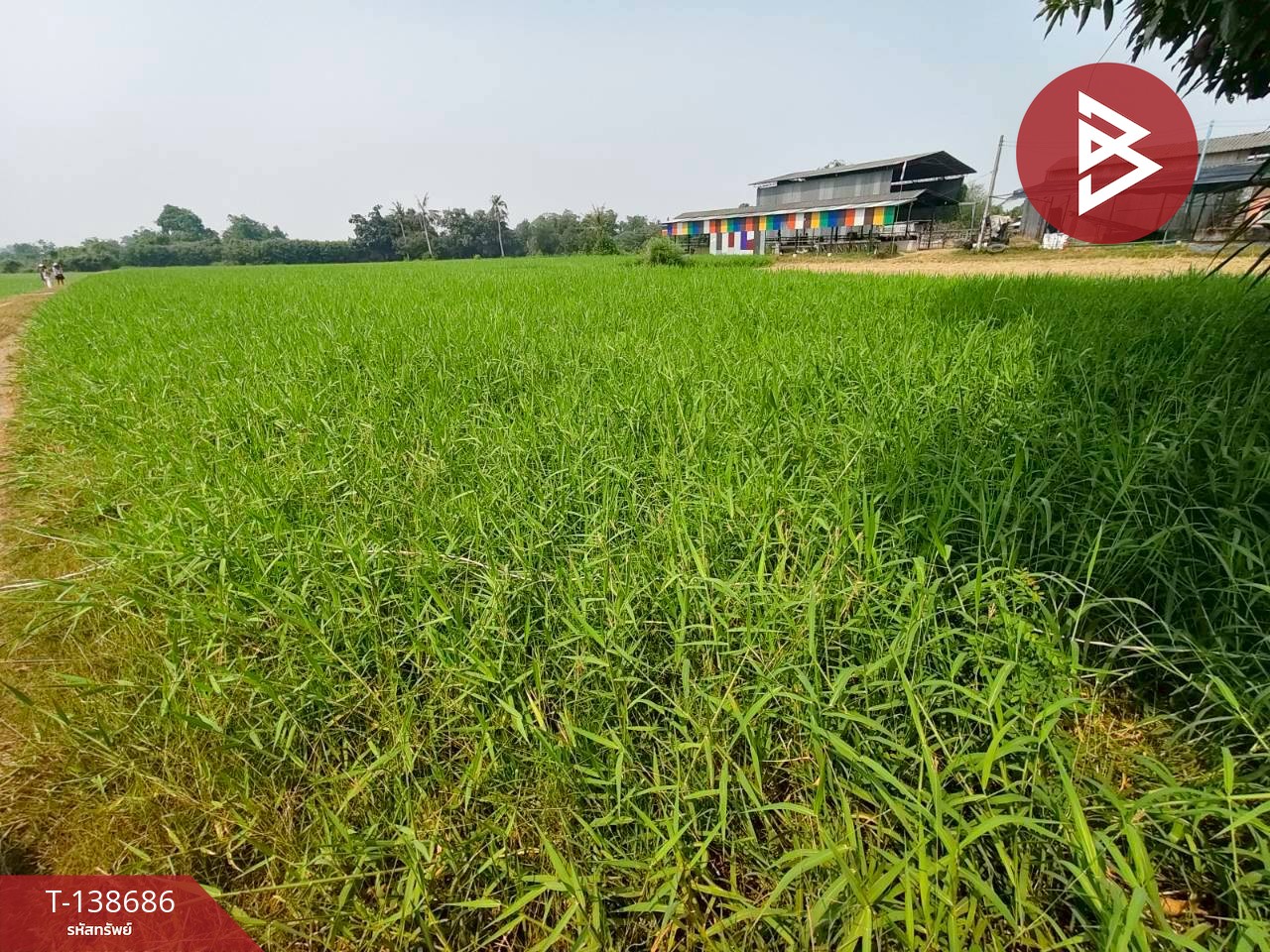 ขายที่ดิน เนื้อที่ 10 ไร่ 63 ตร.วา บ้านโป่ง ราชบุรี 4