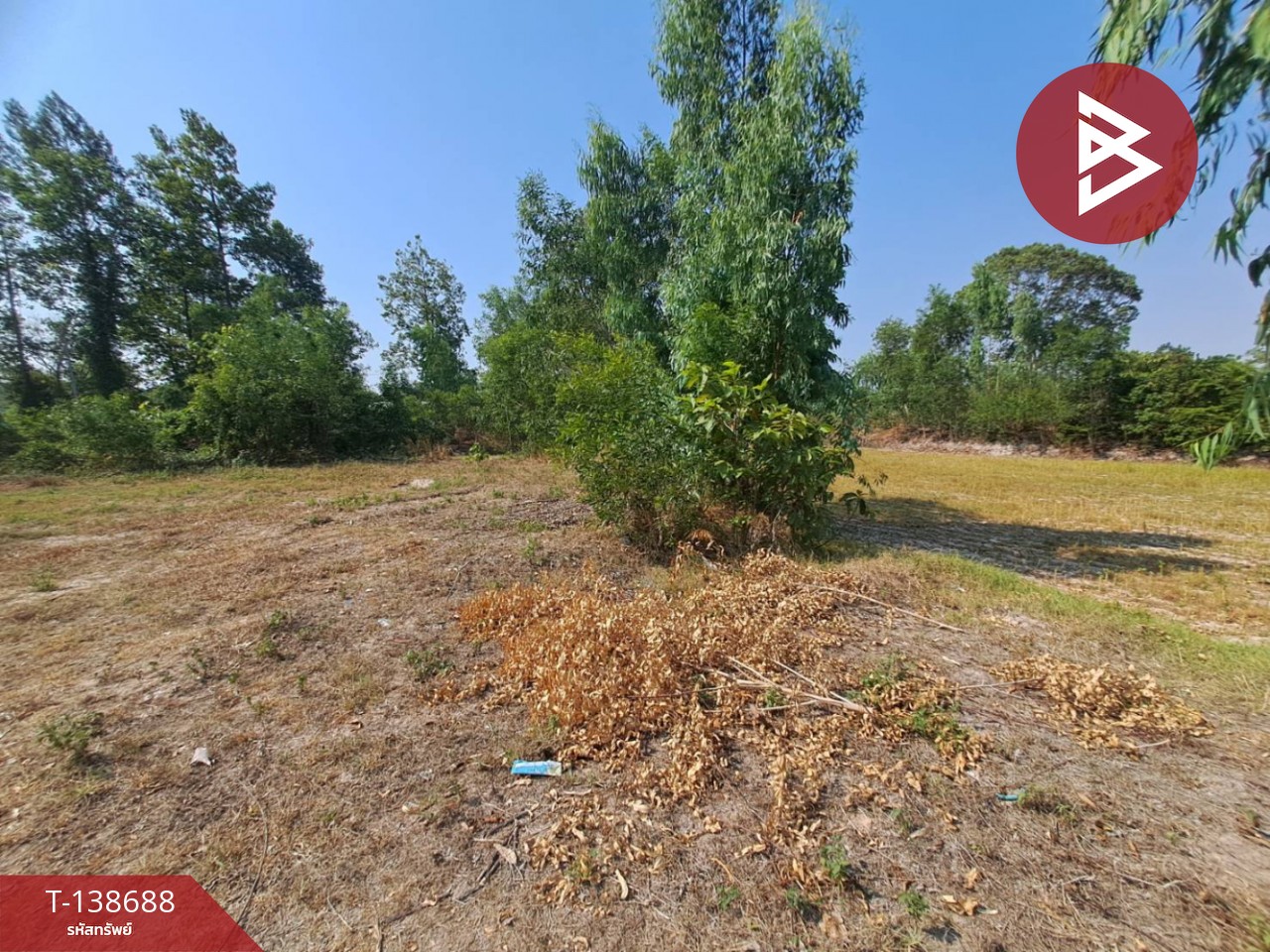 ขายด่วนที่ดินเปล่า เนื้อที่ 3 ไร่ 2 งาน 50 ตารางวา ต.สะอาดสมบูรณ์ ร้อยเอ็ด 14