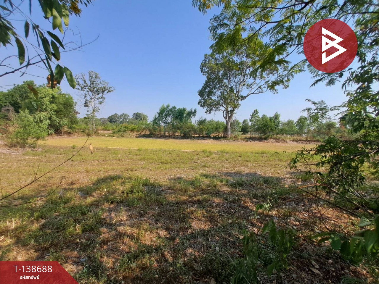 ขายด่วนที่ดินเปล่า เนื้อที่ 3 ไร่ 2 งาน 50 ตารางวา ต.สะอาดสมบูรณ์ ร้อยเอ็ด 10