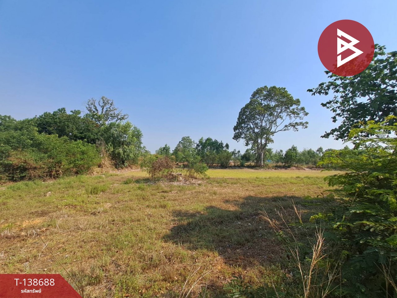 ขายด่วนที่ดินเปล่า เนื้อที่ 3 ไร่ 2 งาน 50 ตารางวา ต.สะอาดสมบูรณ์ ร้อยเอ็ด 8