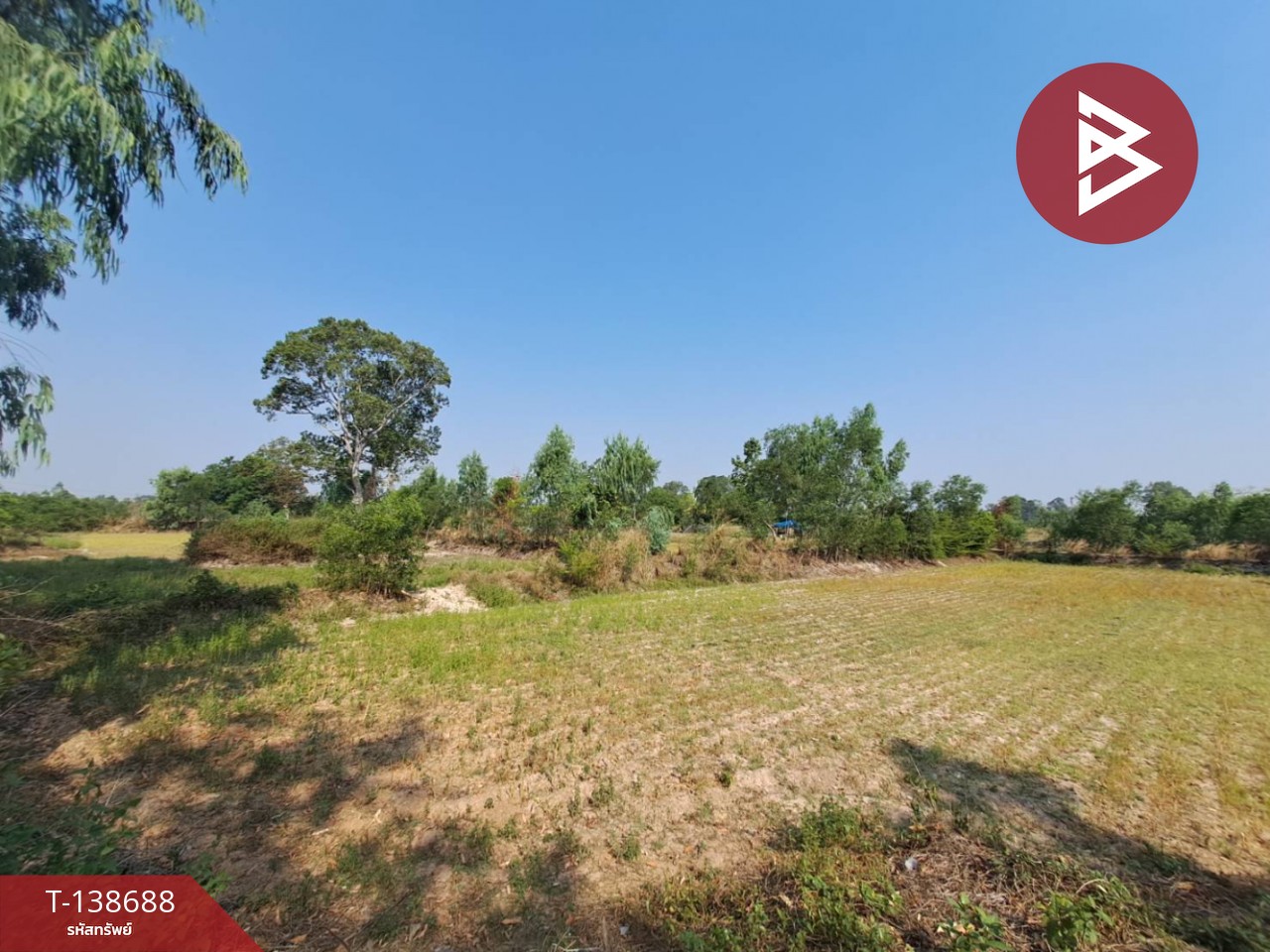 ขายด่วนที่ดินเปล่า เนื้อที่ 3 ไร่ 2 งาน 50 ตารางวา ต.สะอาดสมบูรณ์ ร้อยเอ็ด 11