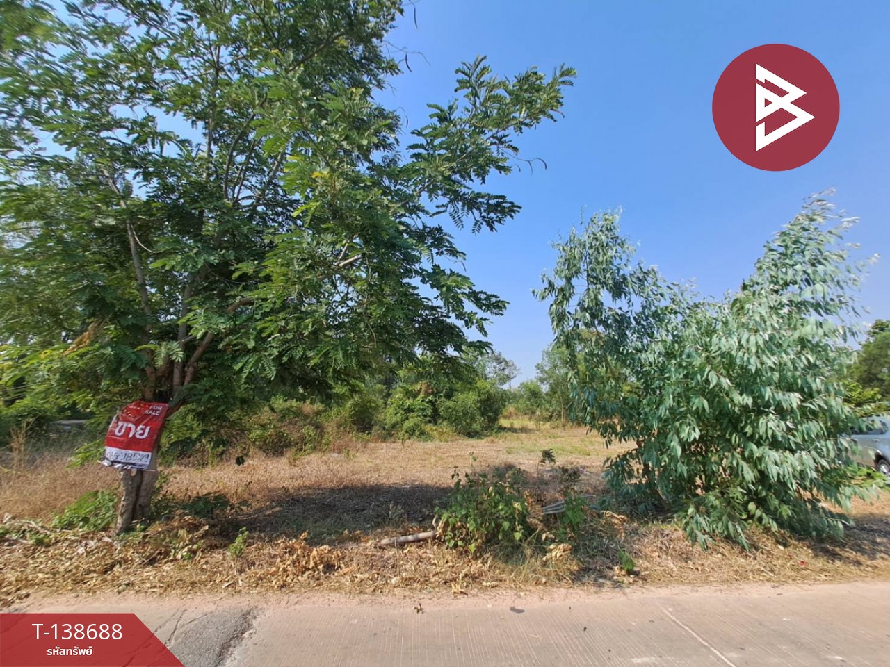 ขายด่วนที่ดินเปล่า เนื้อที่ 3 ไร่ 2 งาน 50 ตารางวา ต.สะอาดสมบูรณ์ ร้อยเอ็ด 2