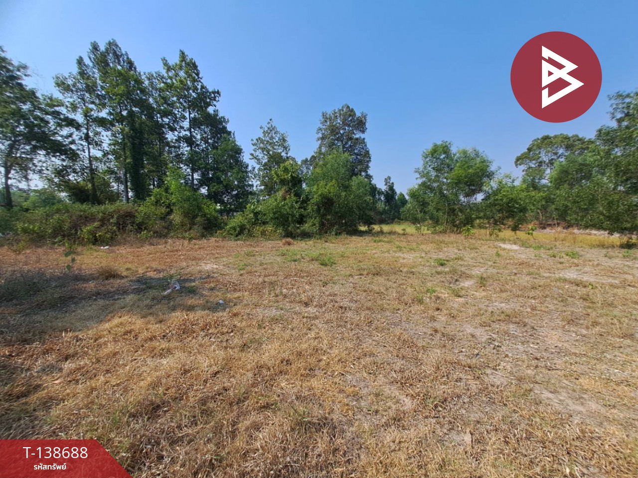 ขายด่วนที่ดินเปล่า เนื้อที่ 3 ไร่ 2 งาน 50 ตารางวา ต.สะอาดสมบูรณ์ ร้อยเอ็ด 12