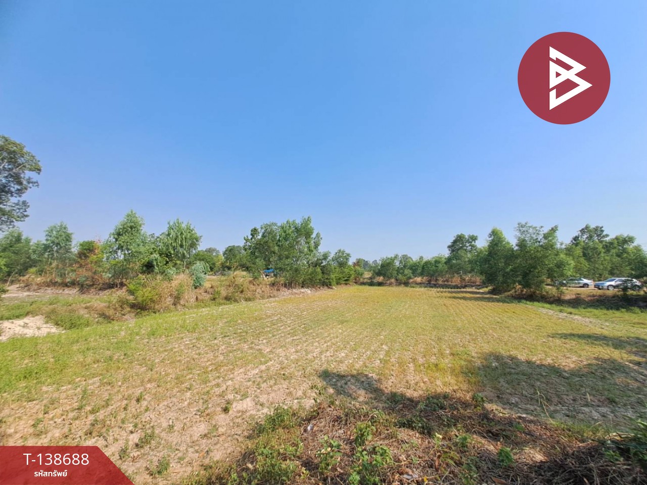 ขายด่วนที่ดินเปล่า เนื้อที่ 3 ไร่ 2 งาน 50 ตารางวา ต.สะอาดสมบูรณ์ ร้อยเอ็ด 4