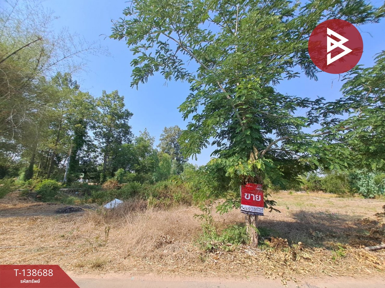 ขายด่วนที่ดินเปล่า เนื้อที่ 3 ไร่ 2 งาน 50 ตารางวา ต.สะอาดสมบูรณ์ ร้อยเอ็ด 1