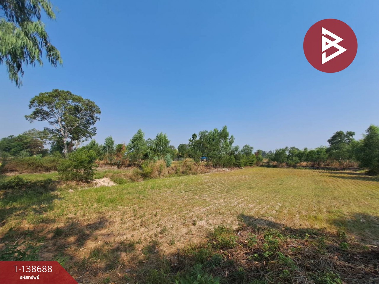 ขายด่วนที่ดินเปล่า เนื้อที่ 3 ไร่ 2 งาน 50 ตารางวา ต.สะอาดสมบูรณ์ ร้อยเอ็ด 6