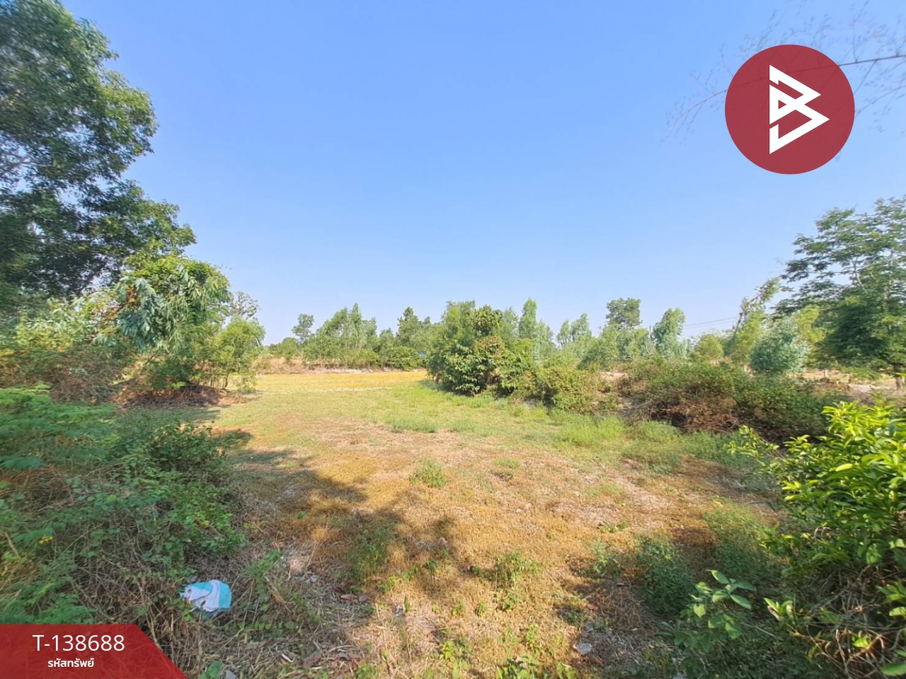 ขายด่วนที่ดินเปล่า เนื้อที่ 3 ไร่ 2 งาน 50 ตารางวา ต.สะอาดสมบูรณ์ ร้อยเอ็ด 9