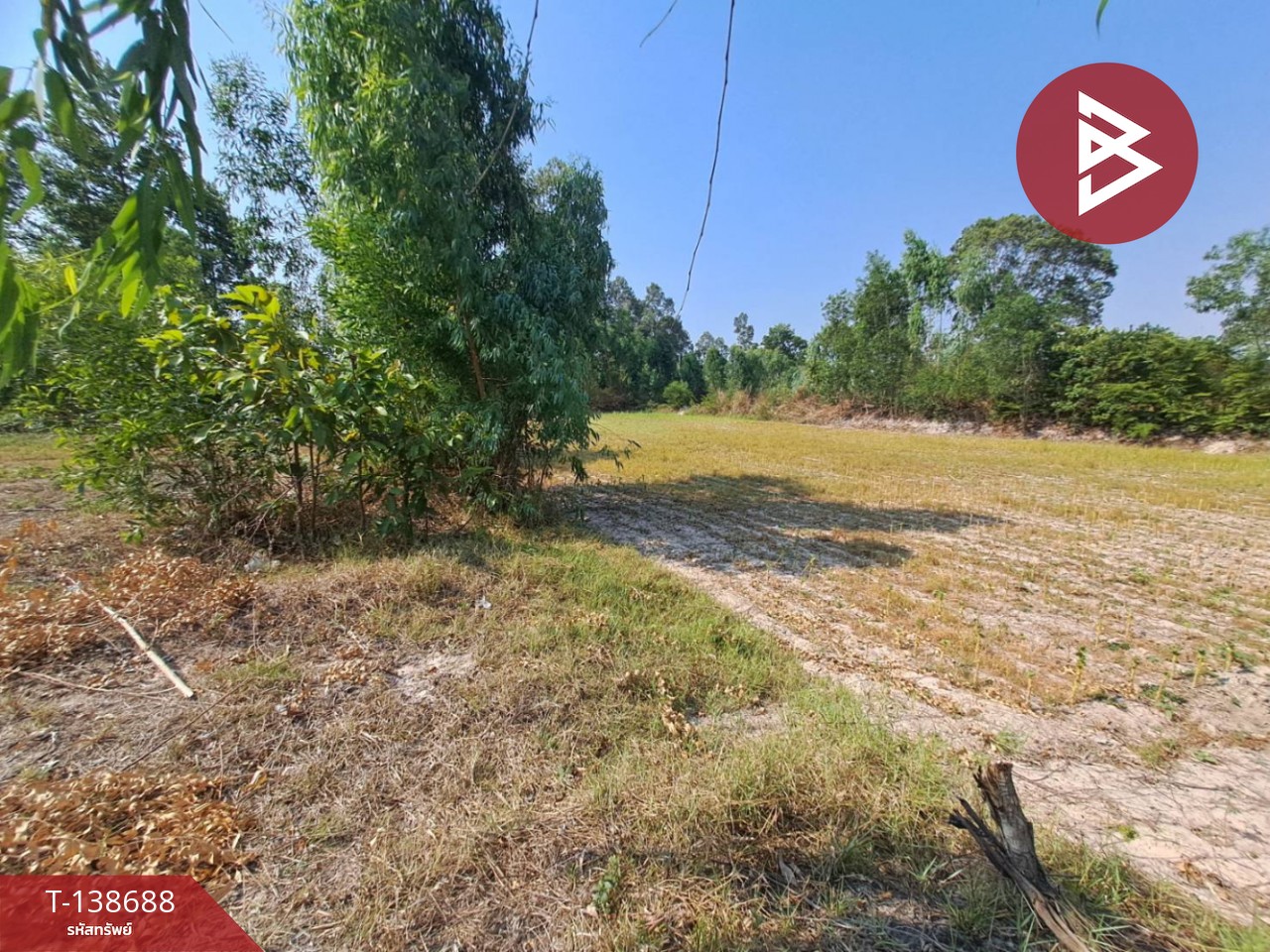 ขายด่วนที่ดินเปล่า เนื้อที่ 3 ไร่ 2 งาน 50 ตารางวา ต.สะอาดสมบูรณ์ ร้อยเอ็ด 13