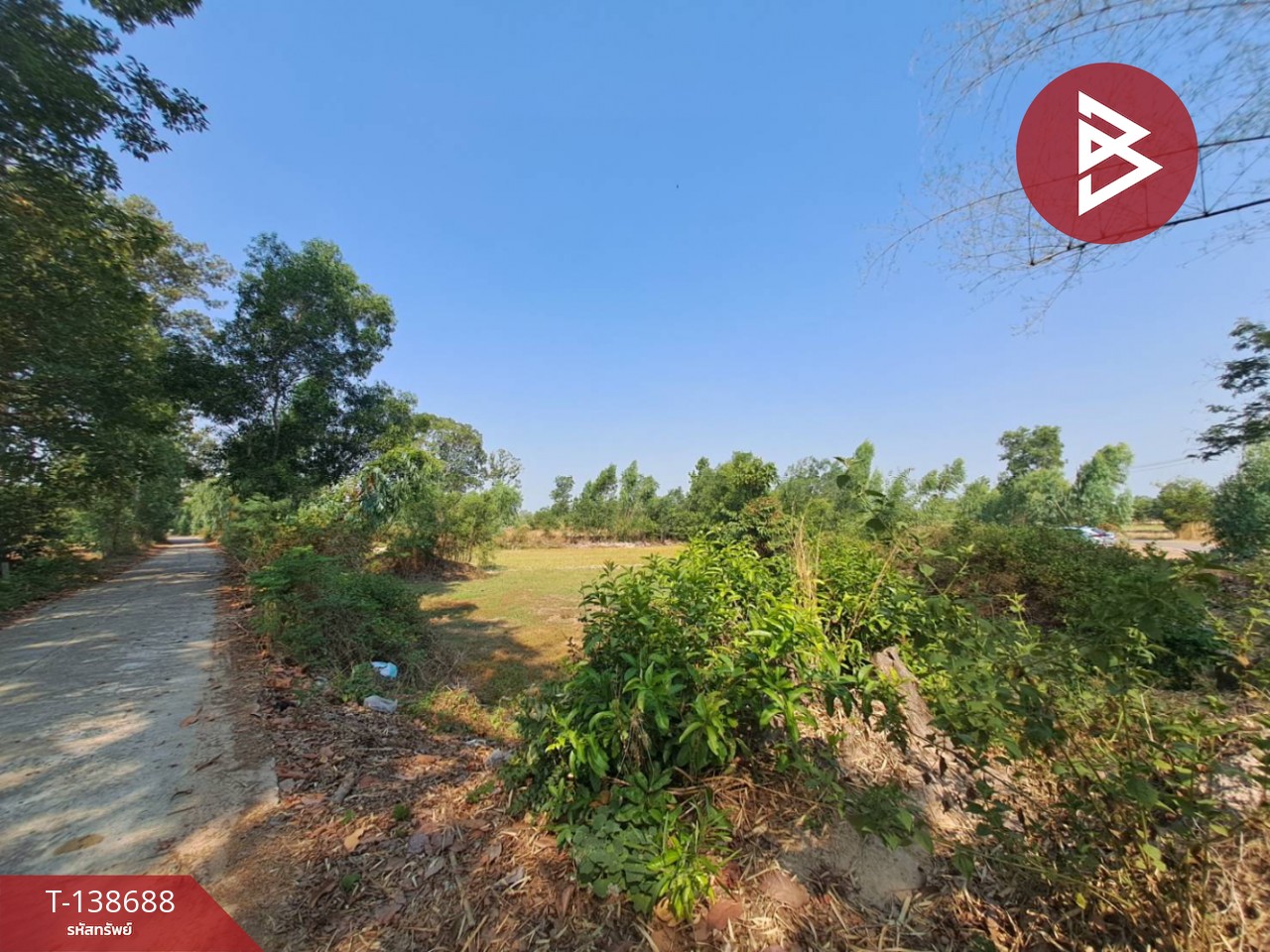 ขายด่วนที่ดินเปล่า เนื้อที่ 3 ไร่ 2 งาน 50 ตารางวา ต.สะอาดสมบูรณ์ ร้อยเอ็ด 5