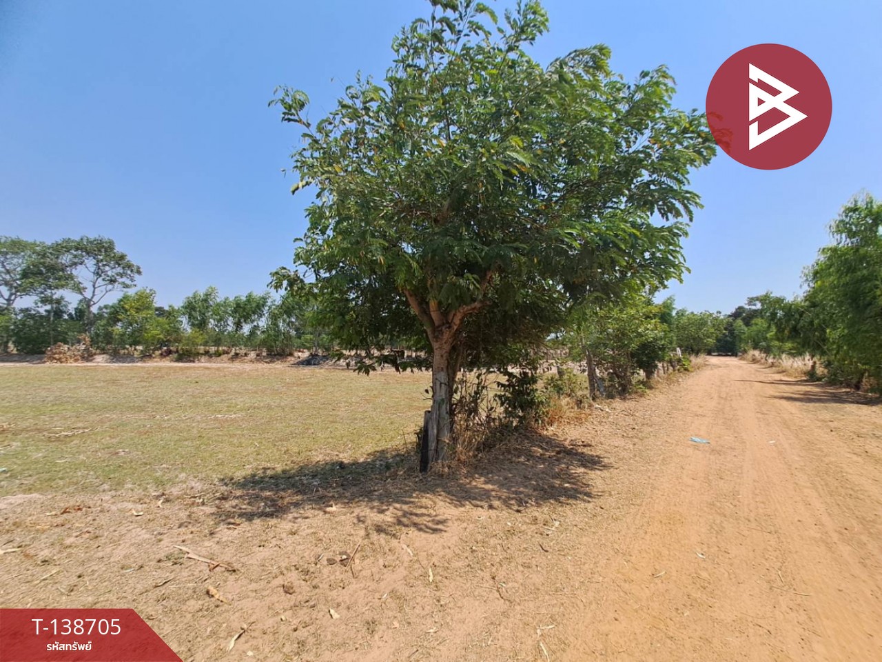 ขายที่ดินเปล่า เนื้อที่ 4 ไร่ 2 งาน 79 ตารางวา ต.ทุ่งศรีเมือง อ.สุวรรณภูมิ จ.ร้อยเอ็ด 5