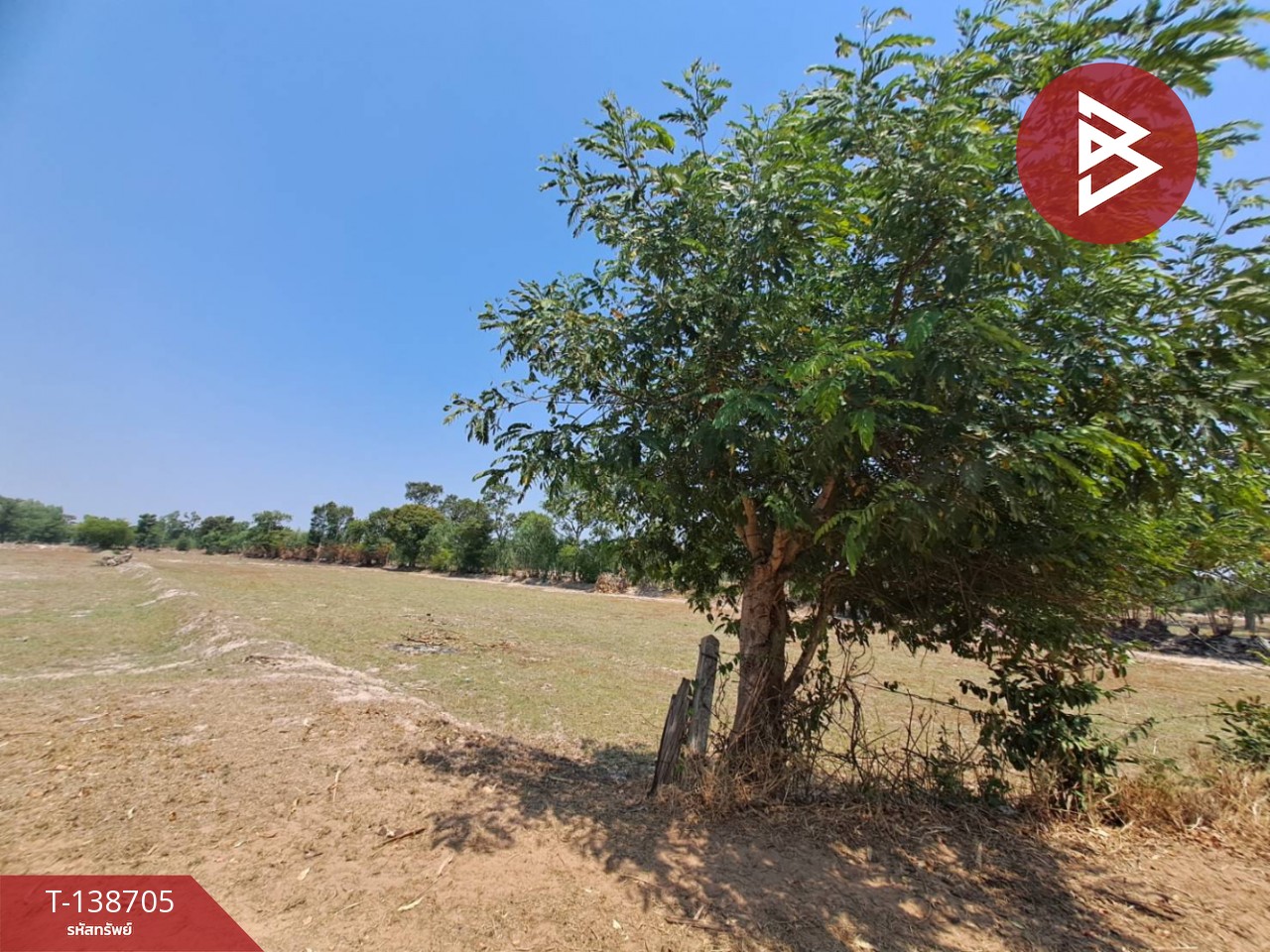 ขายที่ดินเปล่า เนื้อที่ 4 ไร่ 2 งาน 79 ตารางวา ต.ทุ่งศรีเมือง อ.สุวรรณภูมิ จ.ร้อยเอ็ด 7