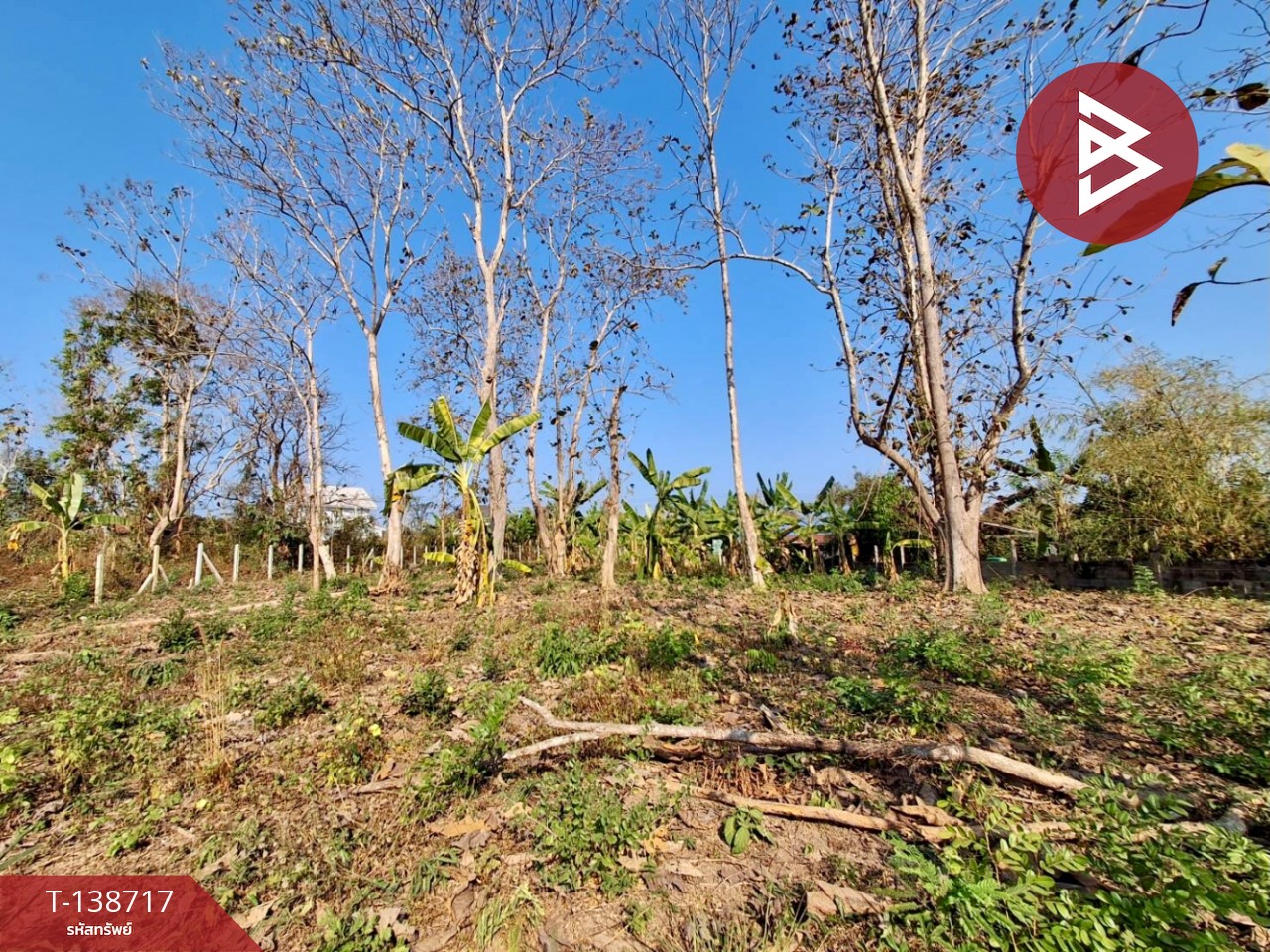 ขายที่ดิน เนื้อที่ 2 งาน ท่าเสา อุตรดิตถ์ 2