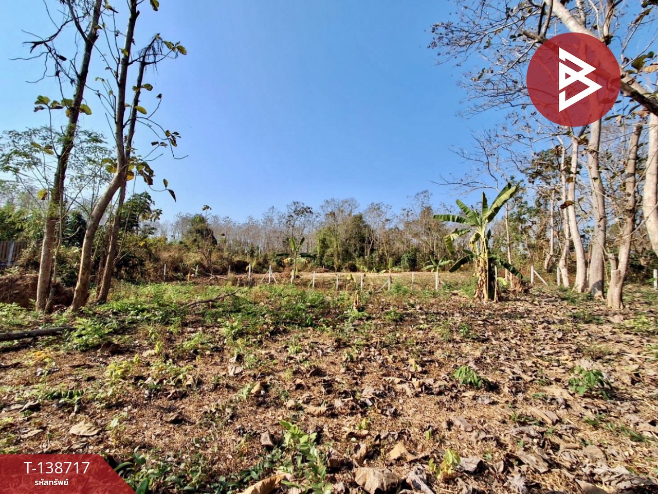 ขายที่ดิน เนื้อที่ 2 งาน ท่าเสา อุตรดิตถ์ 1