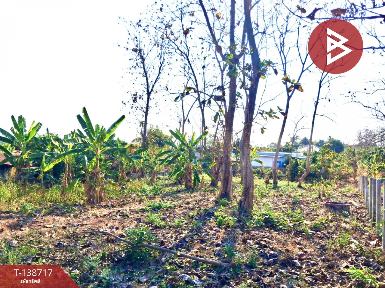 ขายที่ดิน เนื้อที่ 2 งาน ท่าเสา อุตรดิตถ์ 3