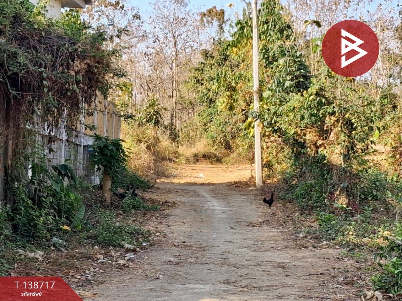 ขายที่ดิน เนื้อที่ 2 งาน ท่าเสา อุตรดิตถ์ 5