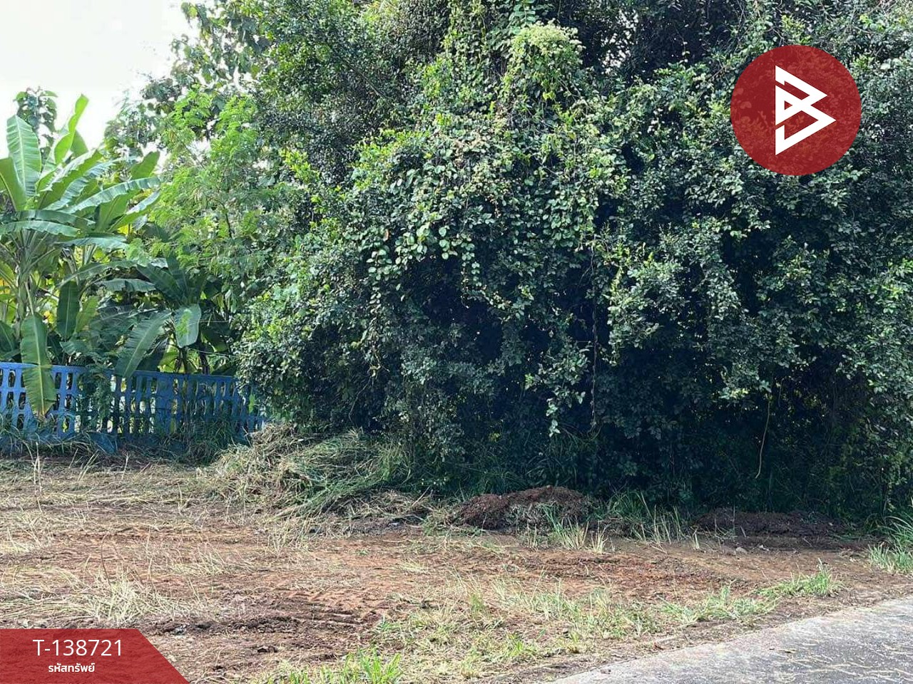 ขายที่ดิน เนื้อที่ 51 ตร.วา สันกำแพง เชียงใหม่ 1