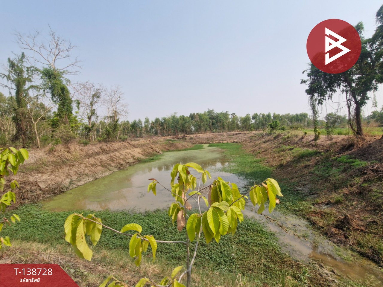 ขายที่ดิน เนื้อที่ 18 ไร่ 1 งาน 25 ตร.วา สามง่าม พิจิตร 11