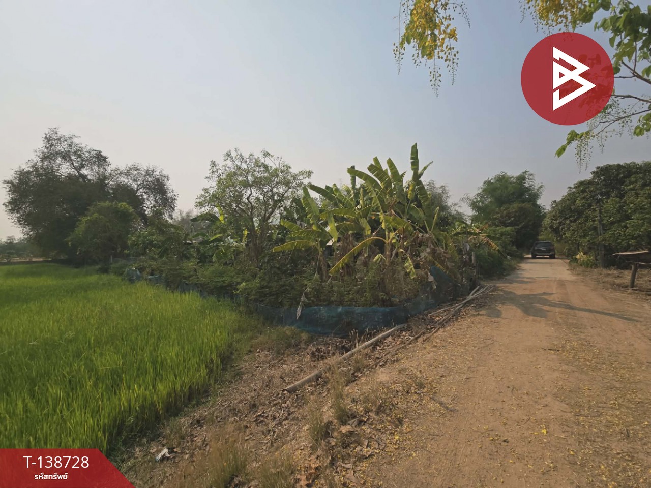 ขายที่ดิน เนื้อที่ 18 ไร่ 1 งาน 25 ตร.วา สามง่าม พิจิตร 2