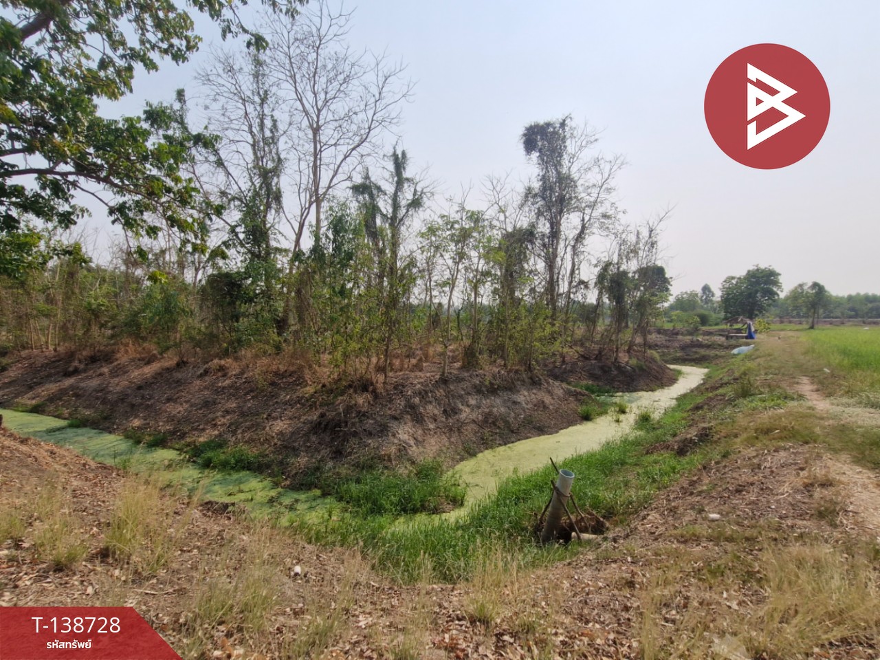 ขายที่ดิน เนื้อที่ 18 ไร่ 1 งาน 25 ตร.วา สามง่าม พิจิตร 15