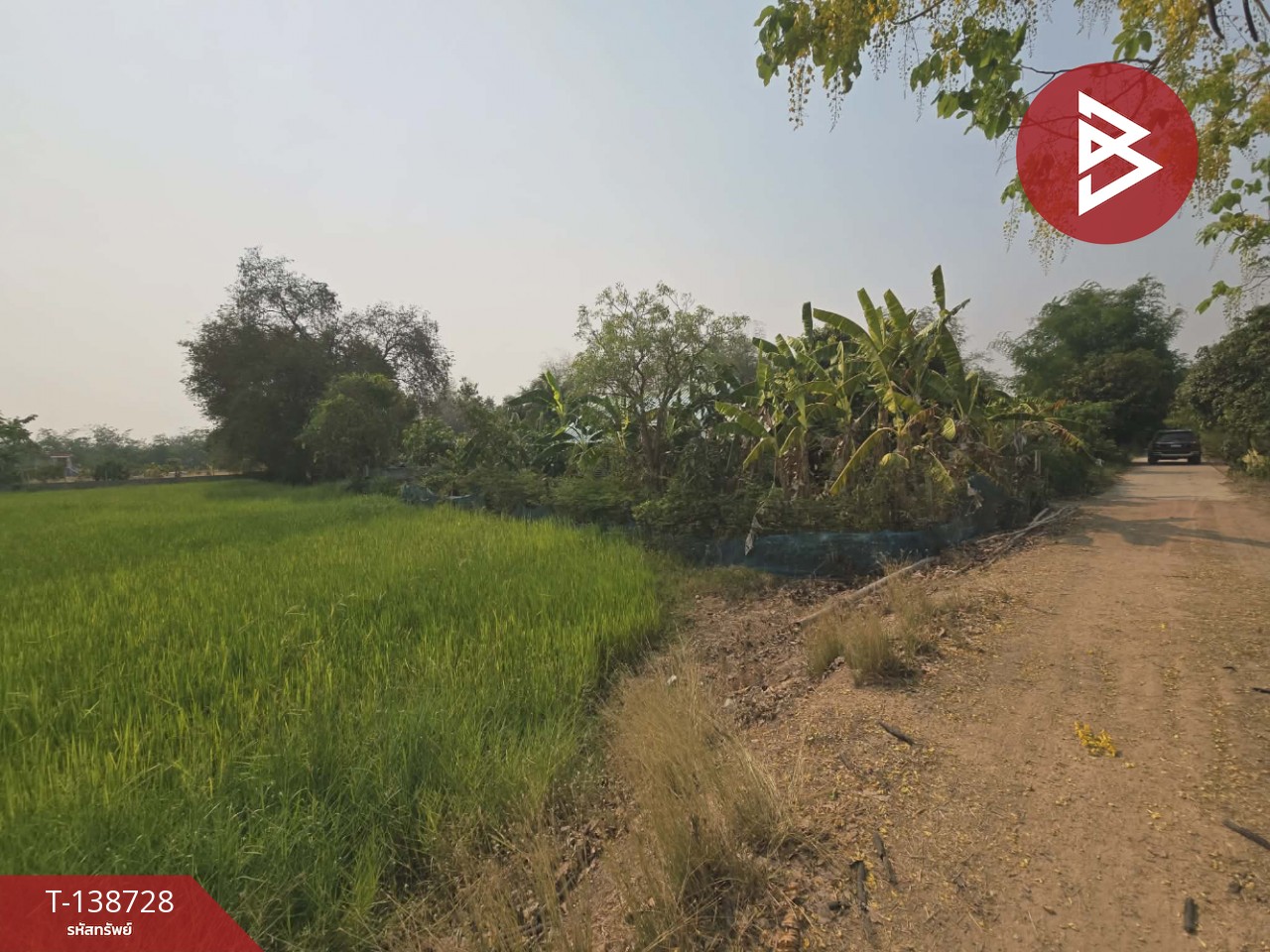 ขายที่ดิน เนื้อที่ 18 ไร่ 1 งาน 25 ตร.วา สามง่าม พิจิตร 10