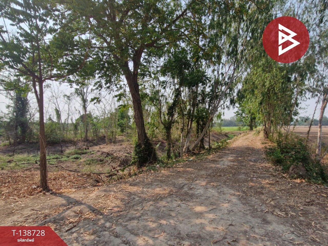 ขายที่ดิน เนื้อที่ 18 ไร่ 1 งาน 25 ตร.วา สามง่าม พิจิตร 13