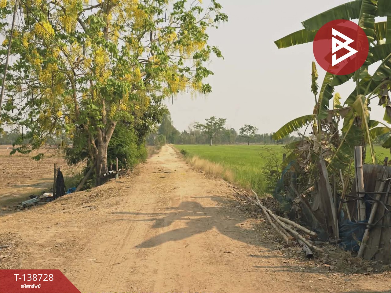 ขายที่ดิน เนื้อที่ 18 ไร่ 1 งาน 25 ตร.วา สามง่าม พิจิตร 3