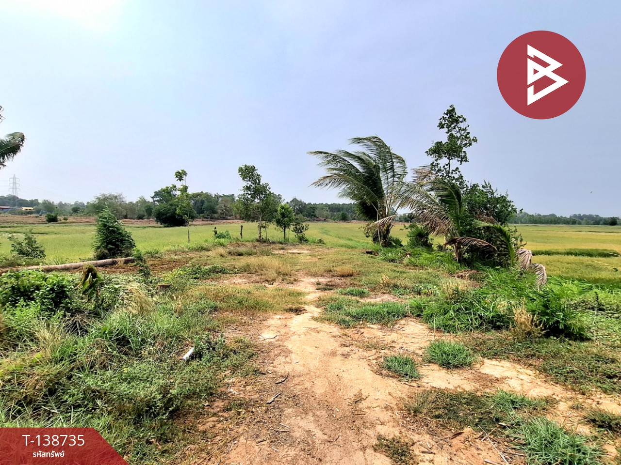 ขายที่ดิน เนื้อที่ 7 ไร่ 2 งาน 40 ตร.วา จังหาร ร้อยเอ็ด 10