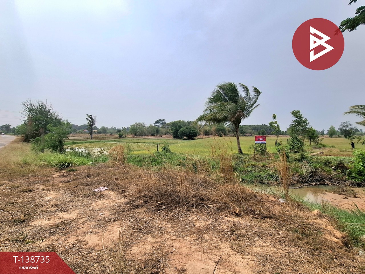 ขายที่ดิน เนื้อที่ 7 ไร่ 2 งาน 40 ตร.วา จังหาร ร้อยเอ็ด 3