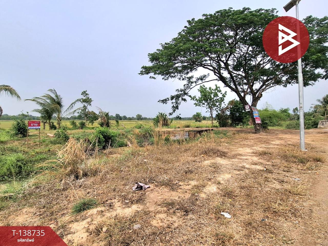 ขายที่ดิน เนื้อที่ 7 ไร่ 2 งาน 40 ตร.วา จังหาร ร้อยเอ็ด 2