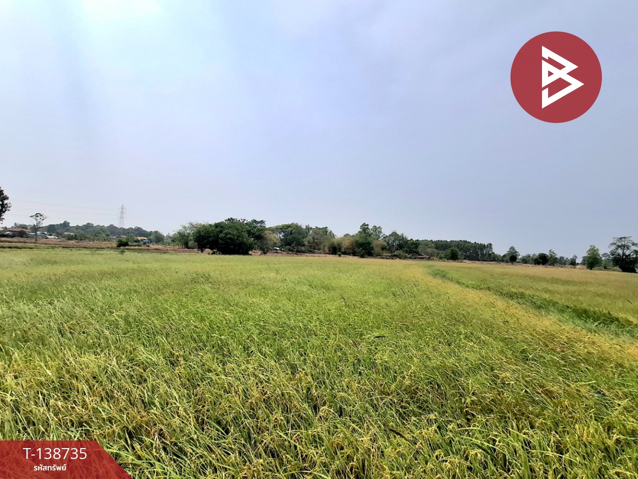 ขายที่ดิน เนื้อที่ 7 ไร่ 2 งาน 40 ตร.วา จังหาร ร้อยเอ็ด 6