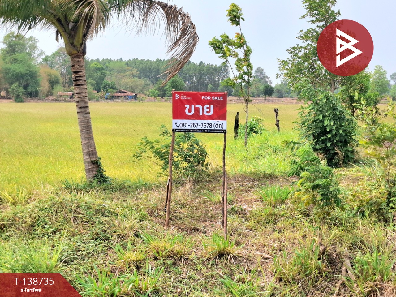 ขายที่ดิน เนื้อที่ 7 ไร่ 2 งาน 40 ตร.วา จังหาร ร้อยเอ็ด 1