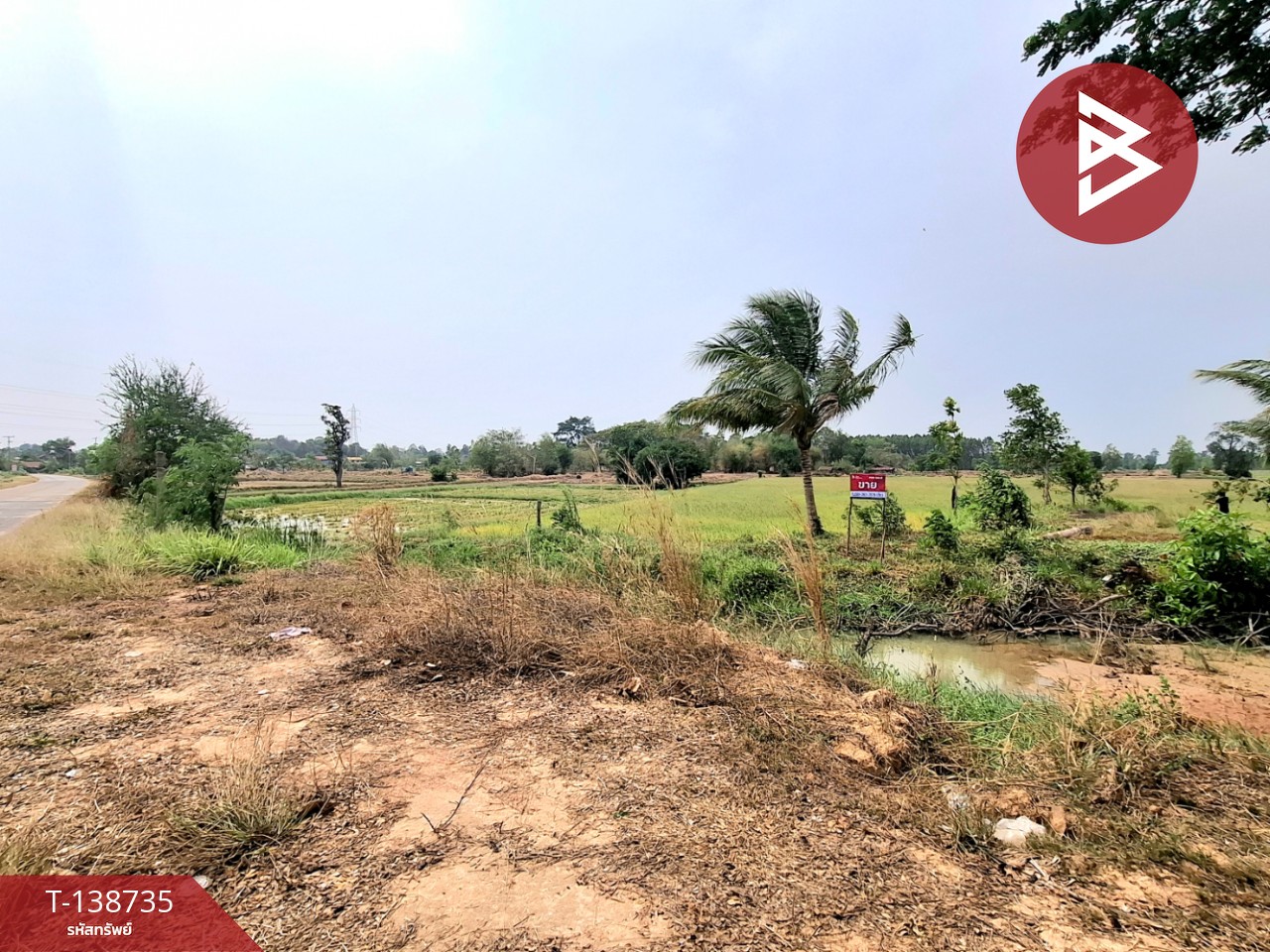 ขายที่ดิน เนื้อที่ 7 ไร่ 2 งาน 40 ตร.วา จังหาร ร้อยเอ็ด 4