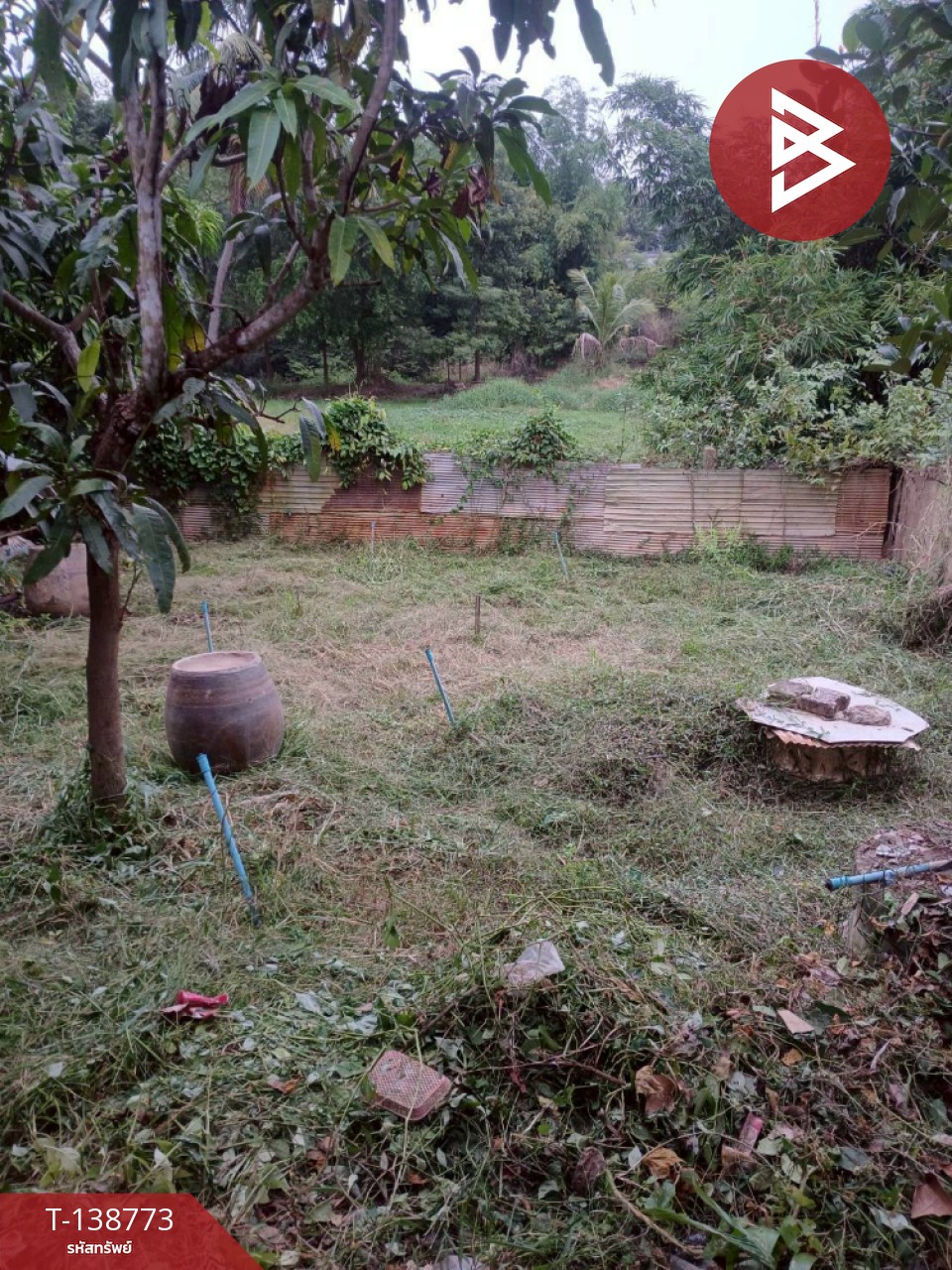 ขายบ้านเดี่ยวชั้นเดียว เนื้อที่ 1 งาน เทิง เชียงราย 9