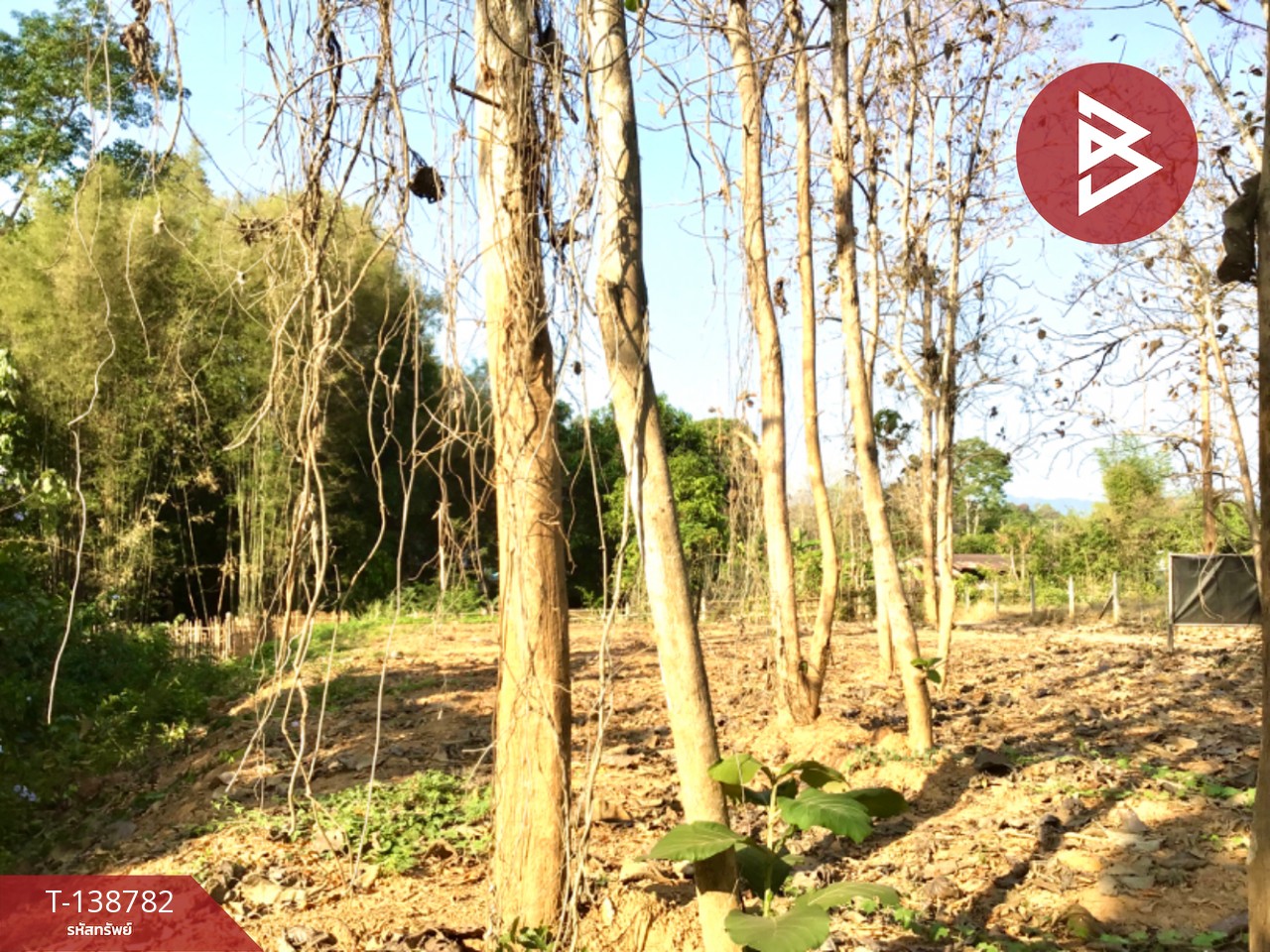 ขายที่ดิน เนื้อที่ 1 งาน 30 ตร.วา ท่าเสา อุตรดิตถ์ 5