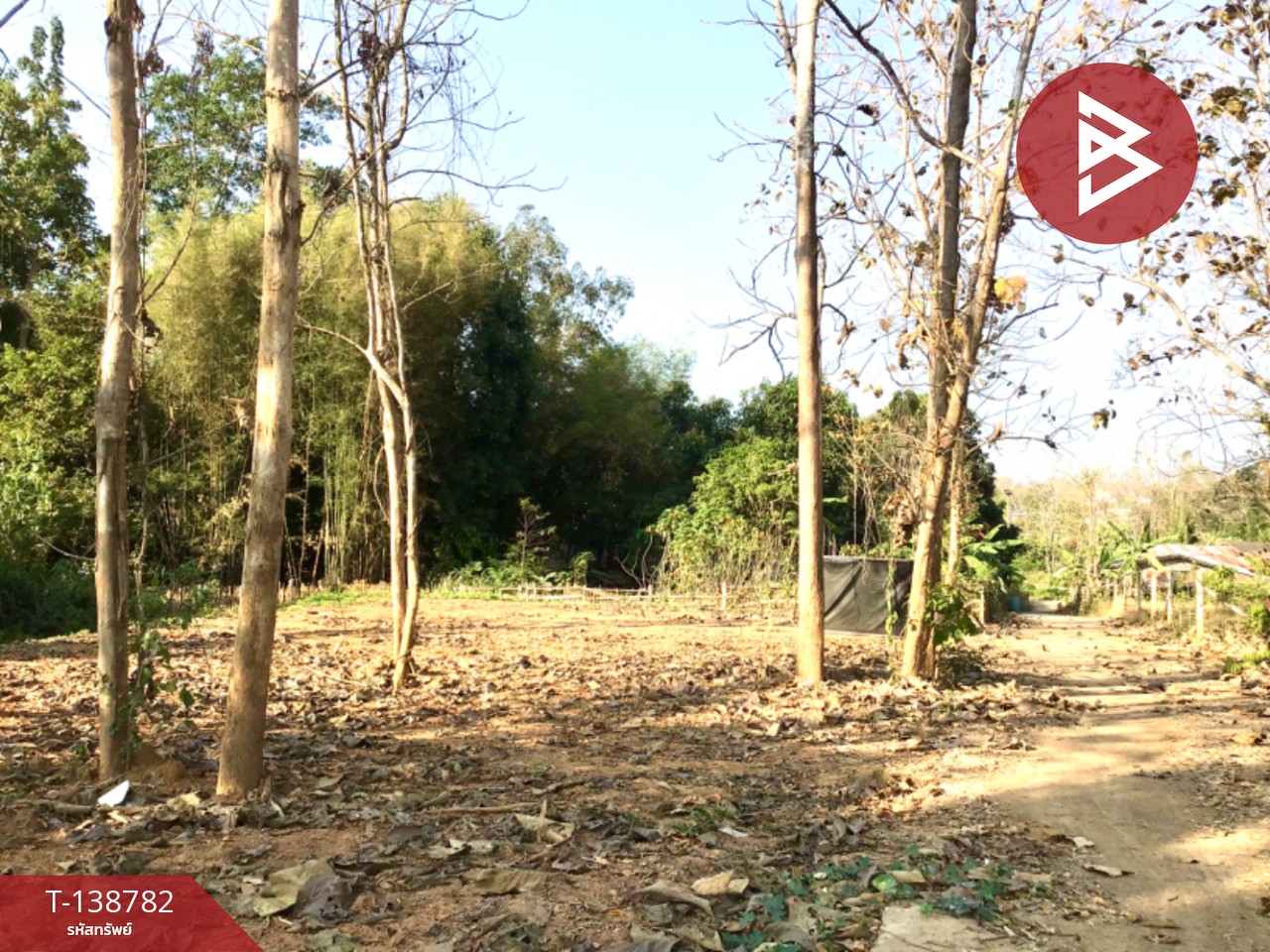 ขายที่ดิน เนื้อที่ 1 งาน 30 ตร.วา ท่าเสา อุตรดิตถ์ 4