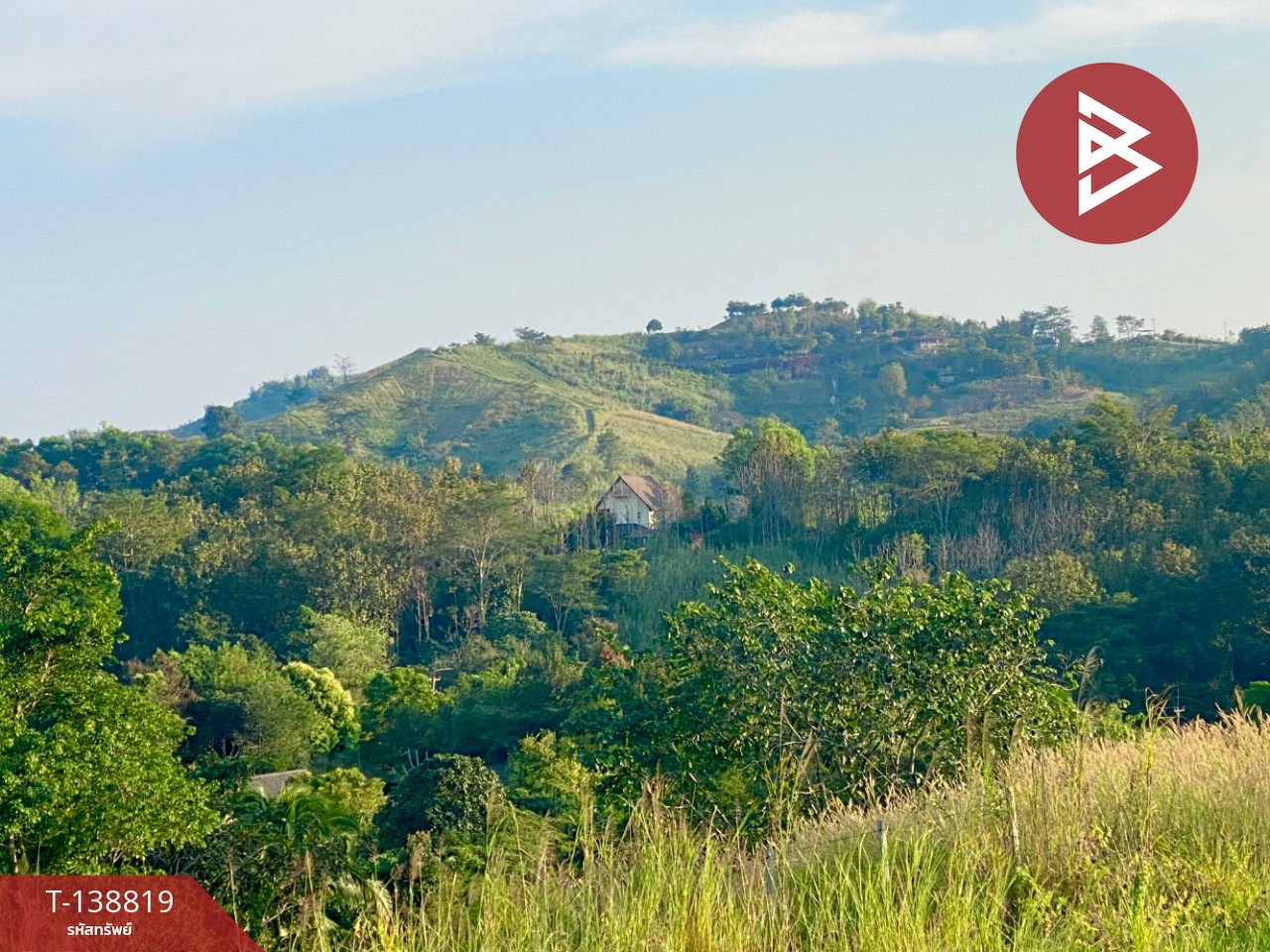 ขายที่ดิน หมู่บ้านเขาค้อไฮแลนด์ เนื้อที่ 3 งาน 9 ตร.วา เขาค้อ เพชรบูรณ์ 11