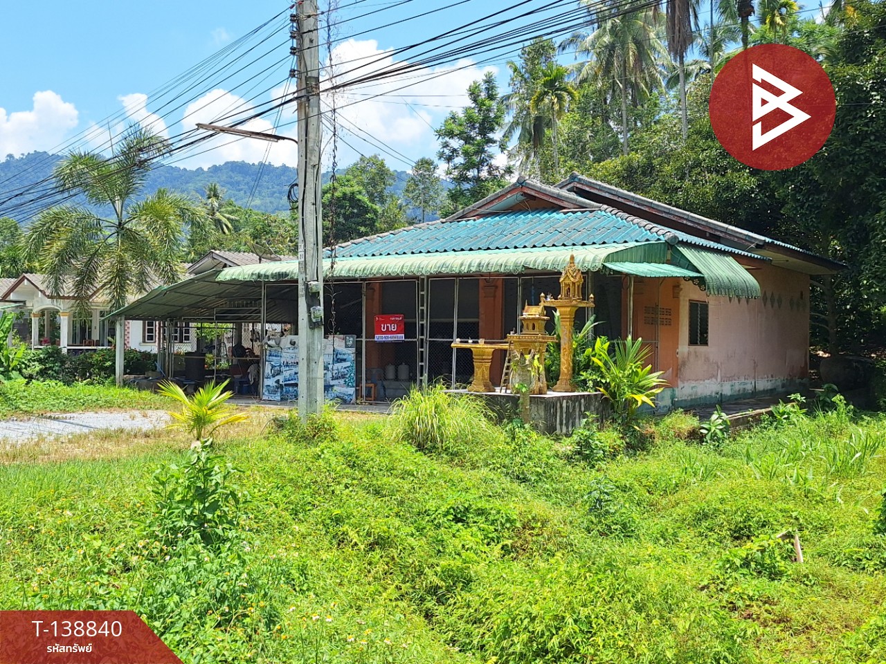 ขายบ้านเดี่ยวชั้นเดียว เนื้อที่ 80.5 ตารางวา นครศรีธรรมราช ติดถนนหลักเส้นลานสกาใน ใกล้กับเขาช้างสี 11