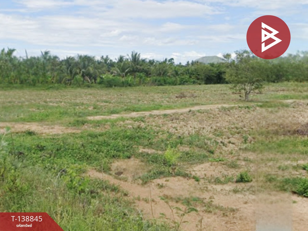 ขายที่ดิน เนื้อที่ 5 ไร่ 1 งาน 69 ตร.วา แก่งกระจาน เพชรบุรี 1