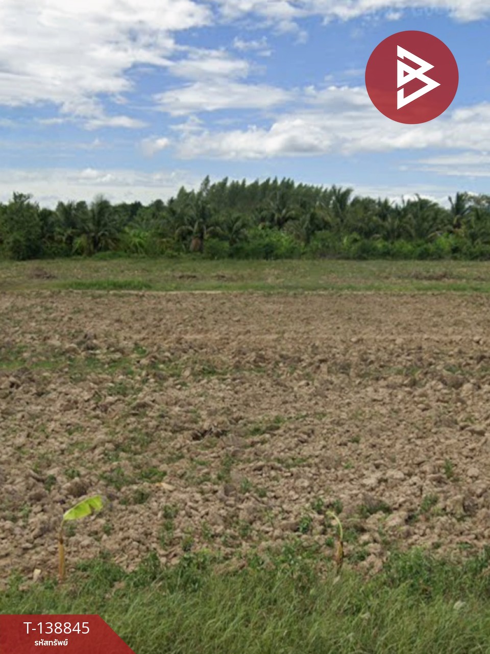 ขายที่ดิน เนื้อที่ 5 ไร่ 1 งาน 69 ตร.วา แก่งกระจาน เพชรบุรี 4