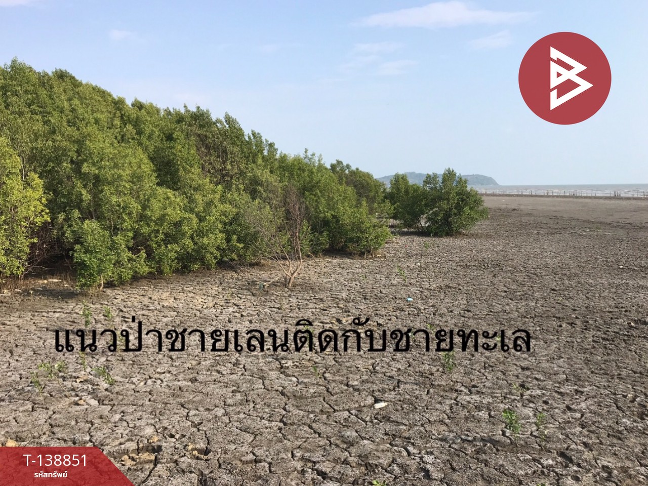 ขายที่ดิน เนื้อที่ 10 ไร่ 3 งาน 28 ตร.วา แหลมสิงห์ จันทบุรี 7