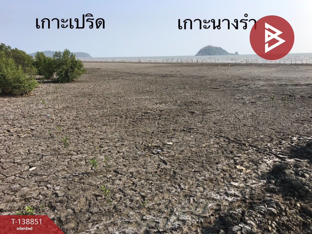 ขายที่ดิน เนื้อที่ 10 ไร่ 3 งาน 28 ตร.วา แหลมสิงห์ จันทบุรี 10