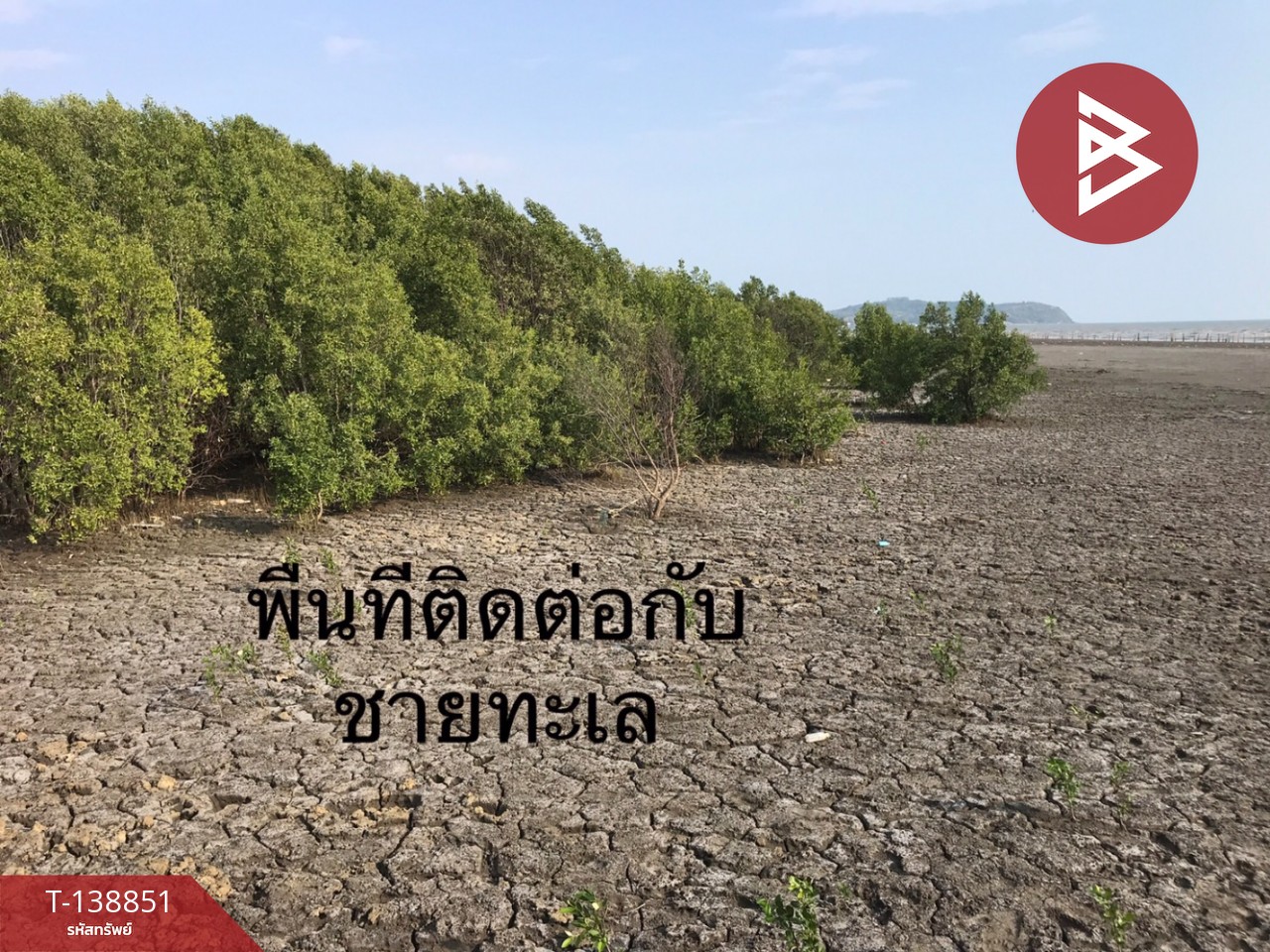 ขายที่ดิน เนื้อที่ 10 ไร่ 3 งาน 28 ตร.วา แหลมสิงห์ จันทบุรี 9