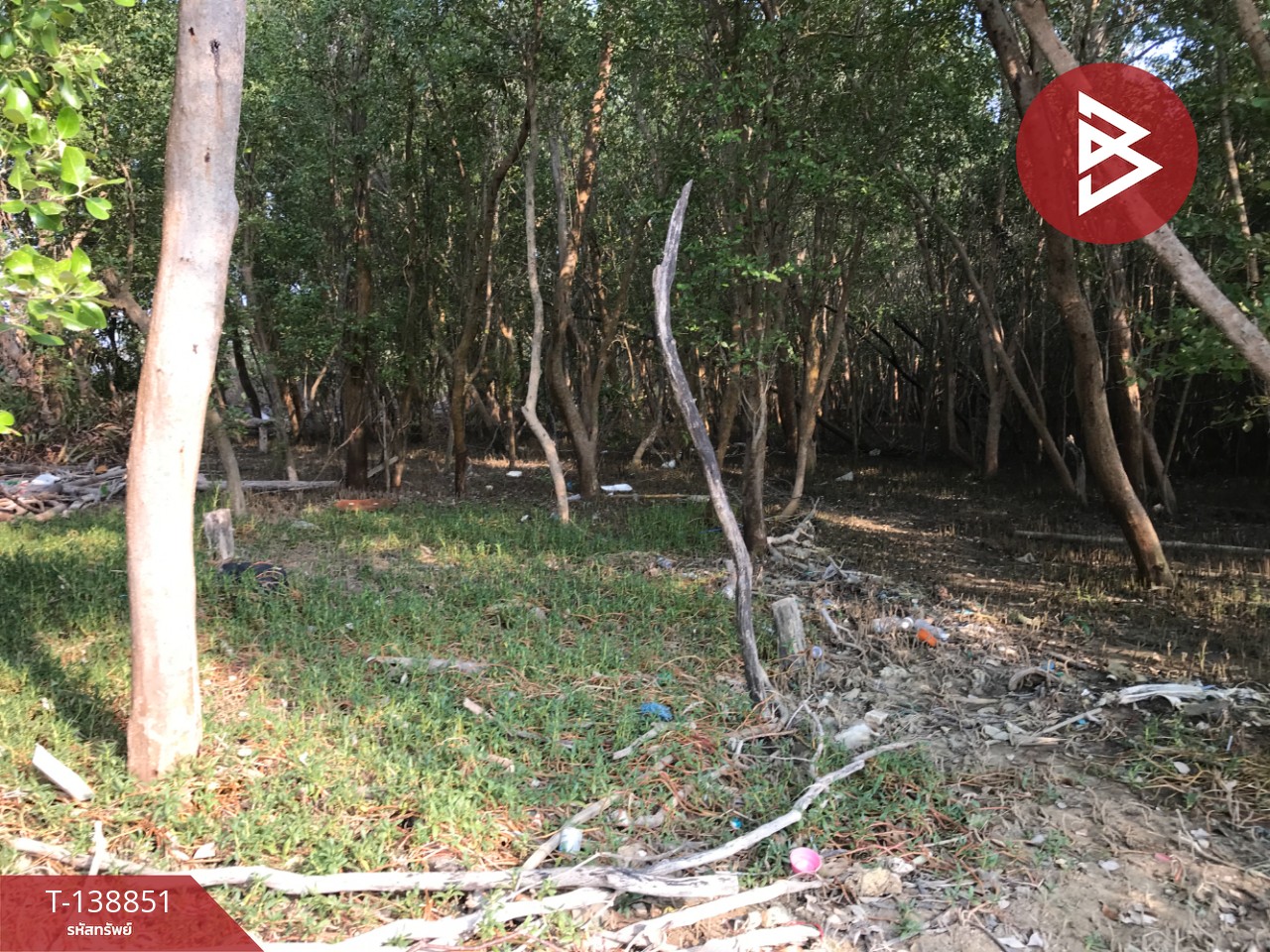 ขายที่ดิน เนื้อที่ 10 ไร่ 3 งาน 28 ตร.วา แหลมสิงห์ จันทบุรี 12