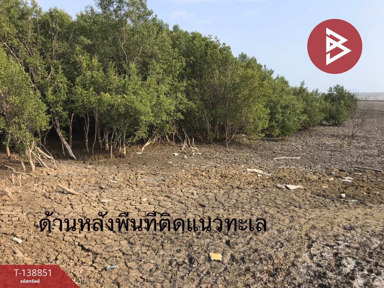 ขายที่ดิน เนื้อที่ 10 ไร่ 3 งาน 28 ตร.วา แหลมสิงห์ จันทบุรี 11