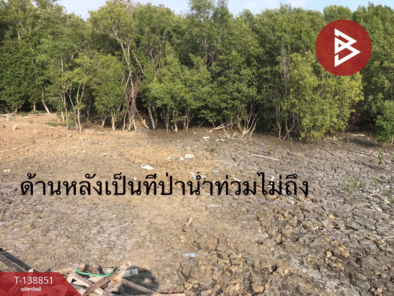 ขายที่ดิน เนื้อที่ 10 ไร่ 3 งาน 28 ตร.วา แหลมสิงห์ จันทบุรี 8