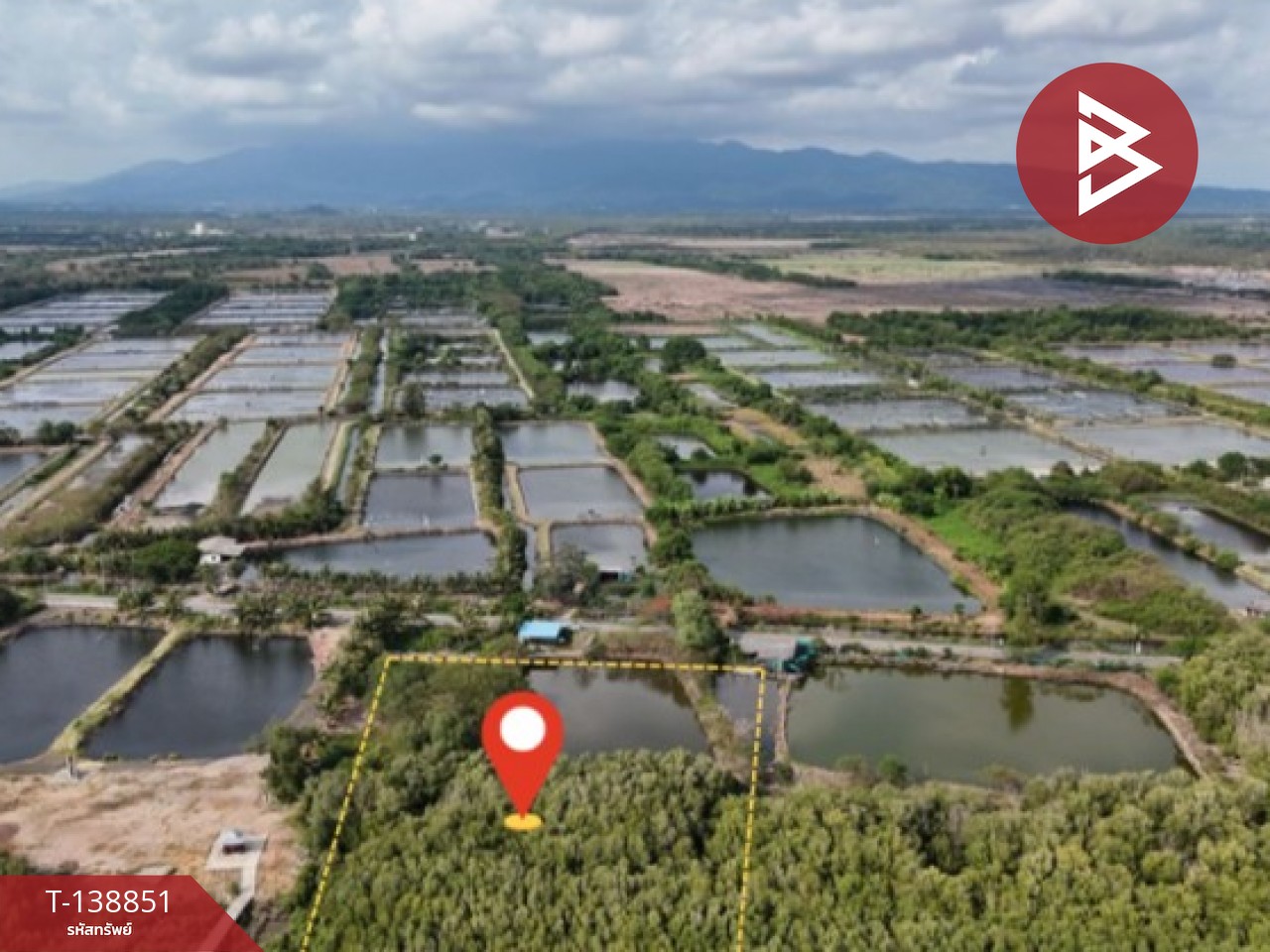 ขายที่ดิน เนื้อที่ 10 ไร่ 3 งาน 28 ตร.วา แหลมสิงห์ จันทบุรี 5