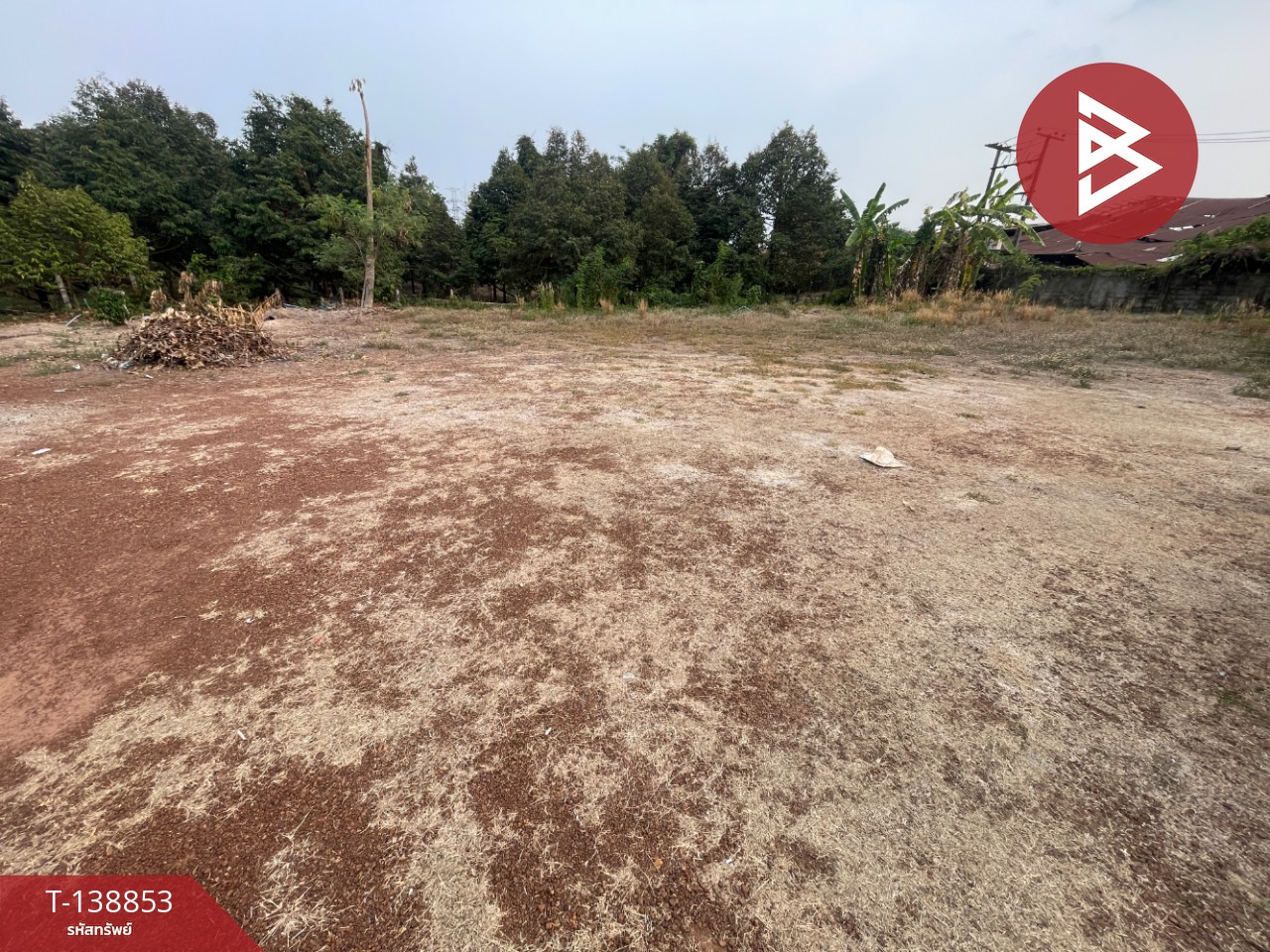 ขายที่ดินแปลงสวย เนื้อที่ 225 ตารางวา สามแยกหนองชะอม โคกไม้ลาย ปราจีนบุรี 7