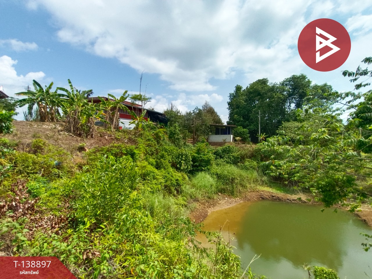 ขายบ้านเดี่ยวพร้อมที่ดิน เนื้อที่ 1 ไร่ 12 ตารางวา แหลมงอบ ตราด 13