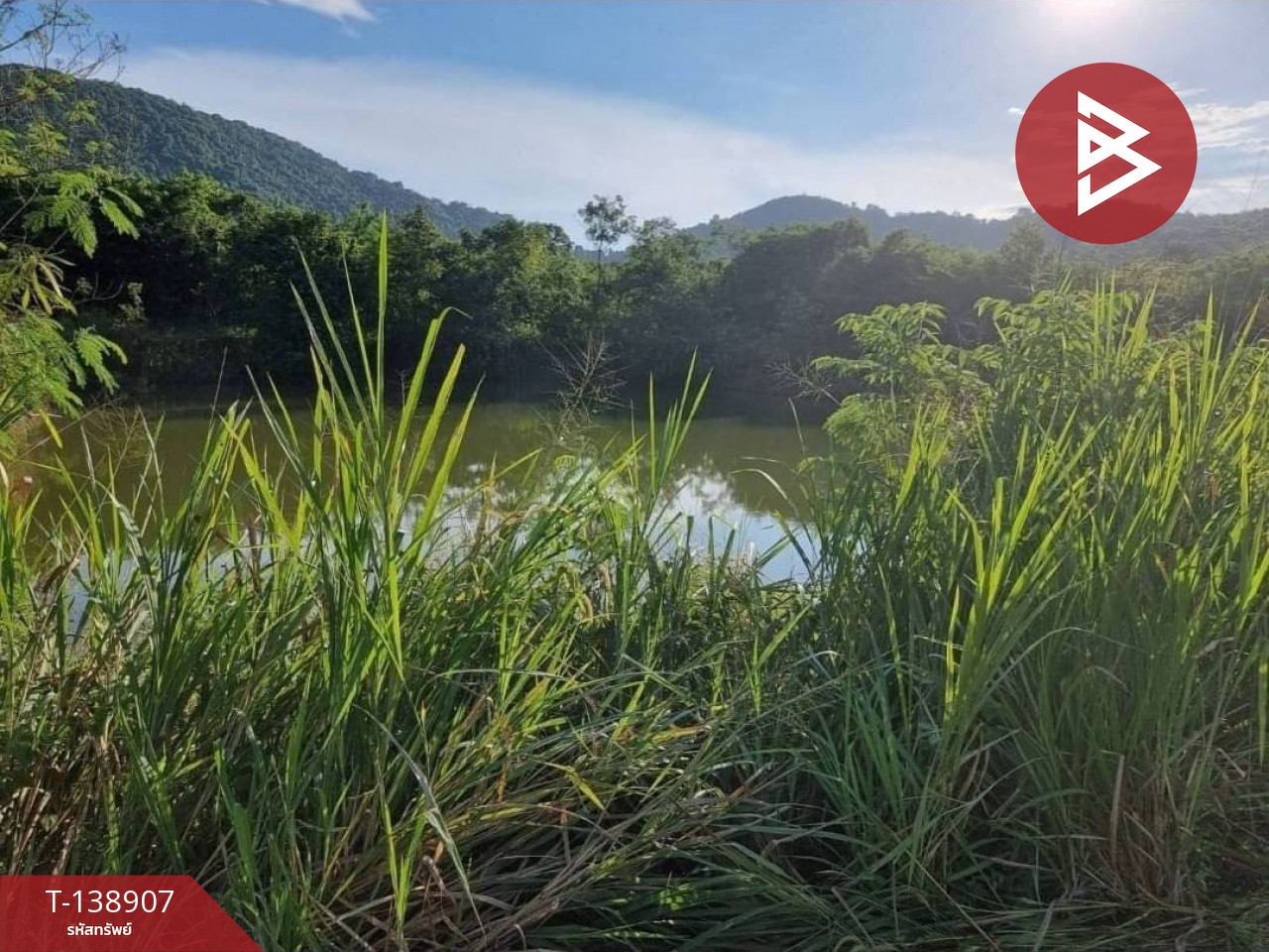 ขายที่ดิน เนื้อที่ 61 ไร่ 21.4 ตร.วา สัตหีบ ชลบุรี 8