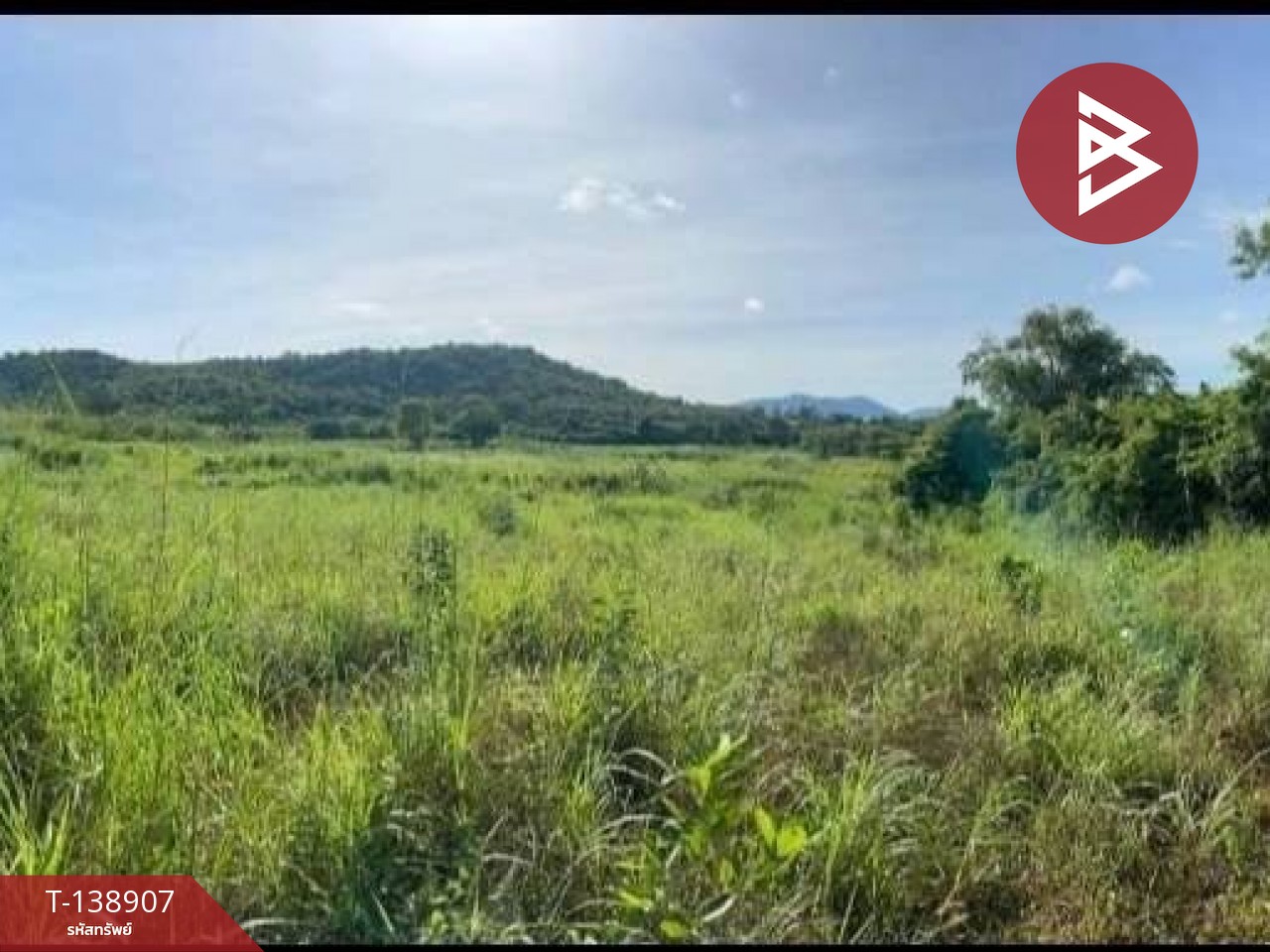 ขายที่ดิน เนื้อที่ 61 ไร่ 21.4 ตร.วา สัตหีบ ชลบุรี 5